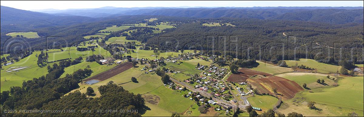 Peter Bellingham Photography Erica - VIC (PBH4 00 9434)